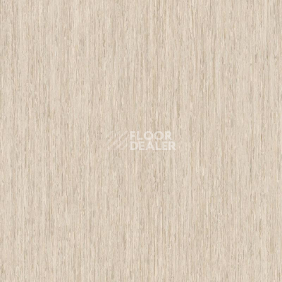 Линолеум Tarkett iq Optima LIGHT SAND BEIGE 0246 фото 1 | FLOORDEALER